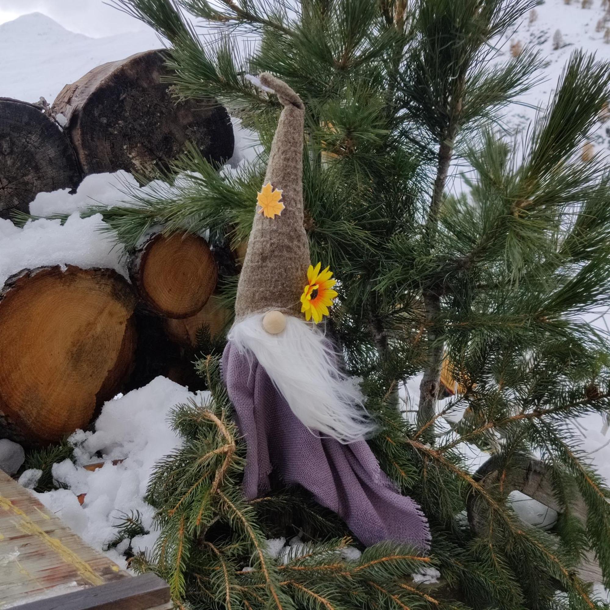 Al Dos Apartman Livigno Kültér fotó